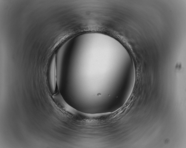 X0000098220154200805011242