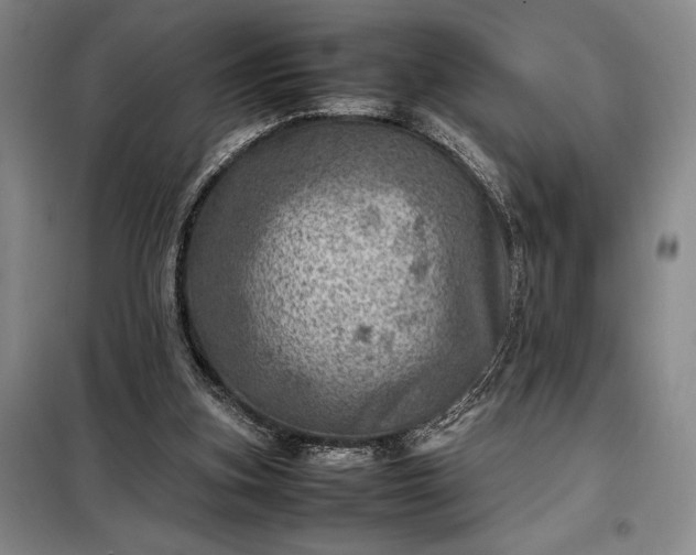 X0000098220155200805011242