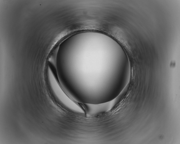 X0000098220156200805011242