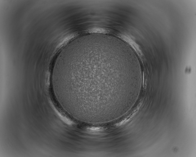 X0000098220157200805011242