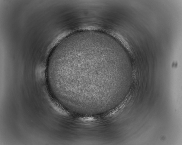 X0000098220159200805011242