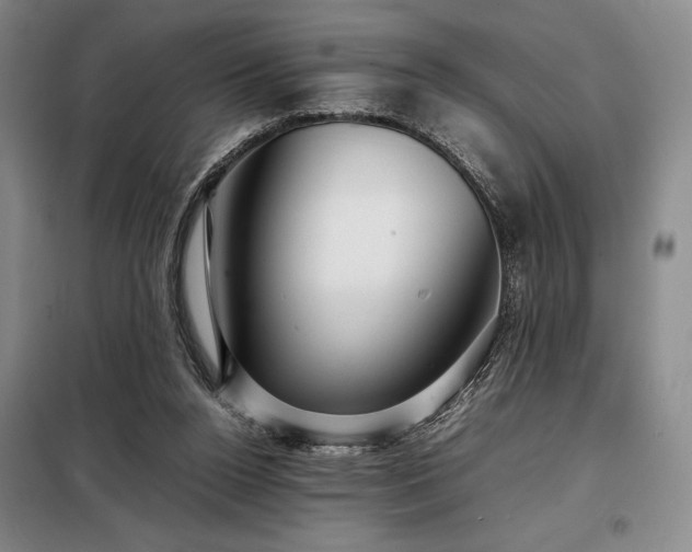 X0000098220160200805011242