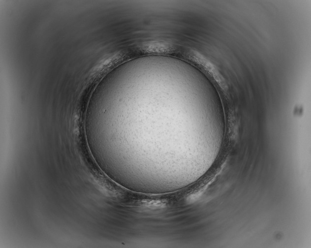 X0000098220161200805011242