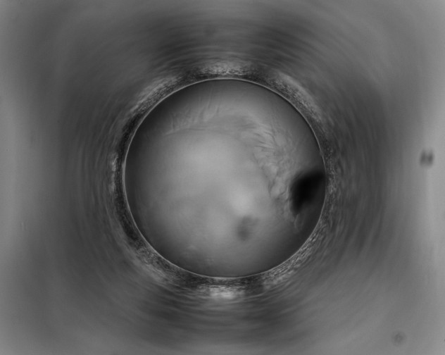 X0000098220163200805011242