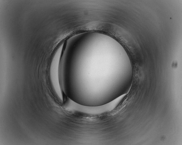 X0000098220164200805011242