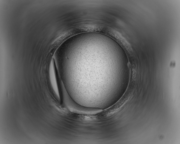 X0000098220165200805011242