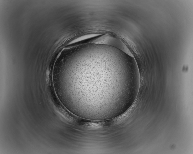 X0000098220166200805011242