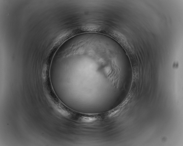 X0000098220167200805011242