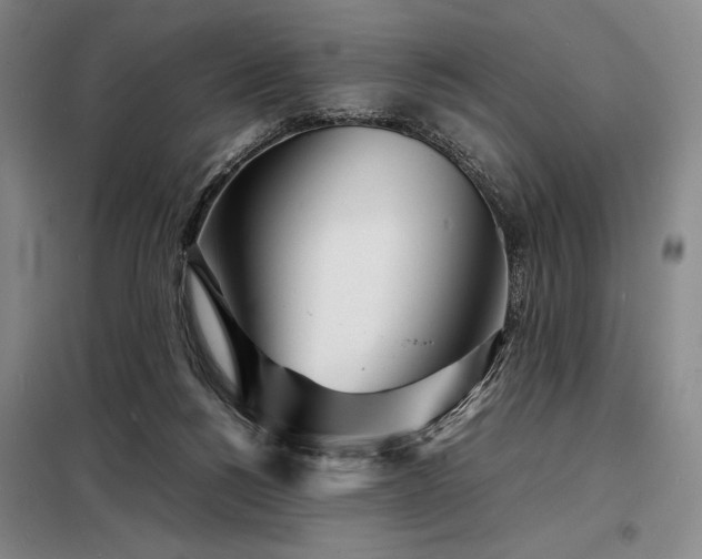 X0000098220168200805011242