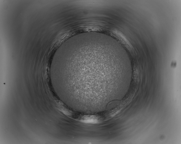 X0000098220169200805011242