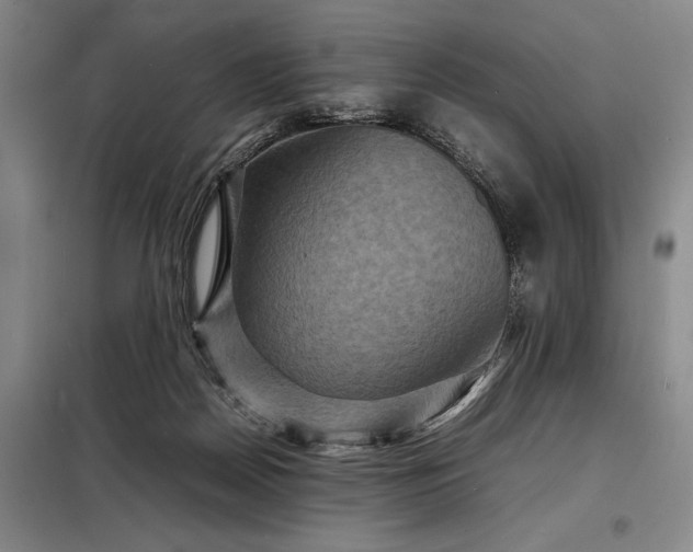 X0000098220170200805011242