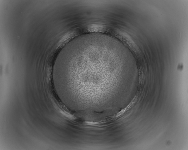 X0000098220171200805011242