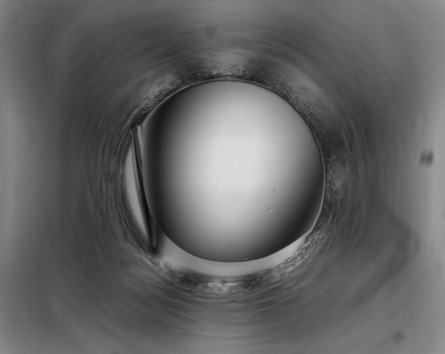 X0000098220172200805011242