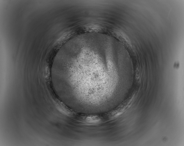 X0000098220173200805011242