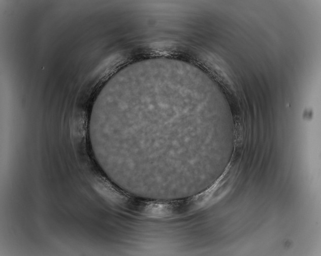 X0000098220174200805011242