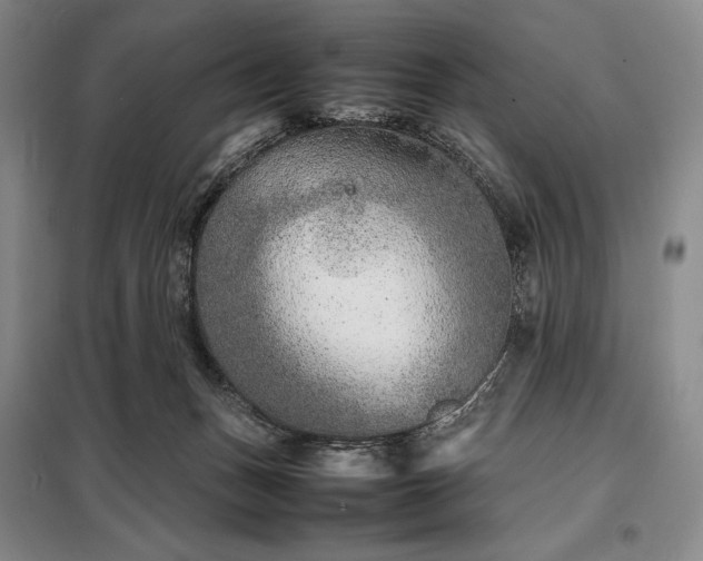 X0000098220175200805011242