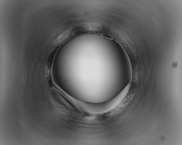 X0000098220176200805011242