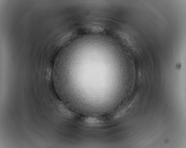 X0000098220177200805011242