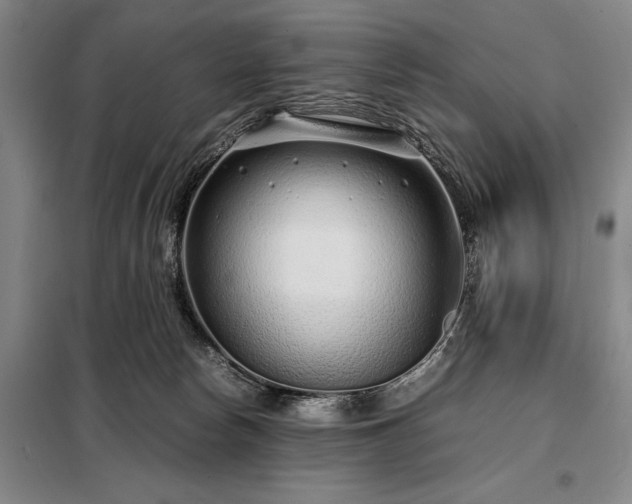 X0000098220178200805011242