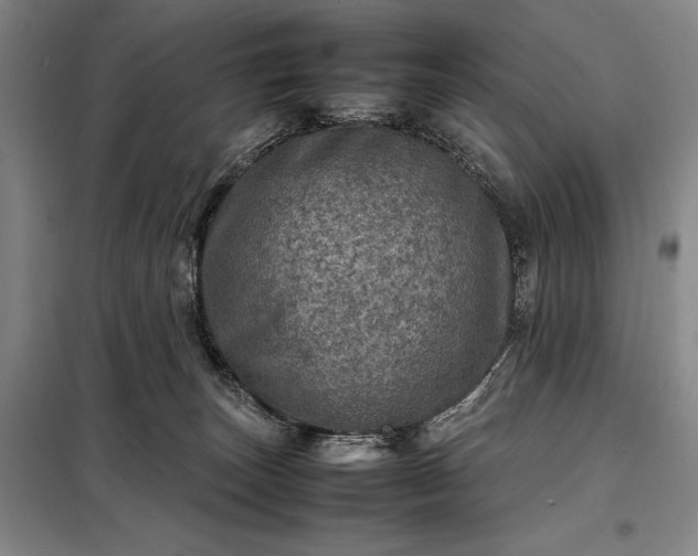 X0000098220179200805011242