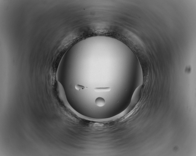 X0000098220180200805011242