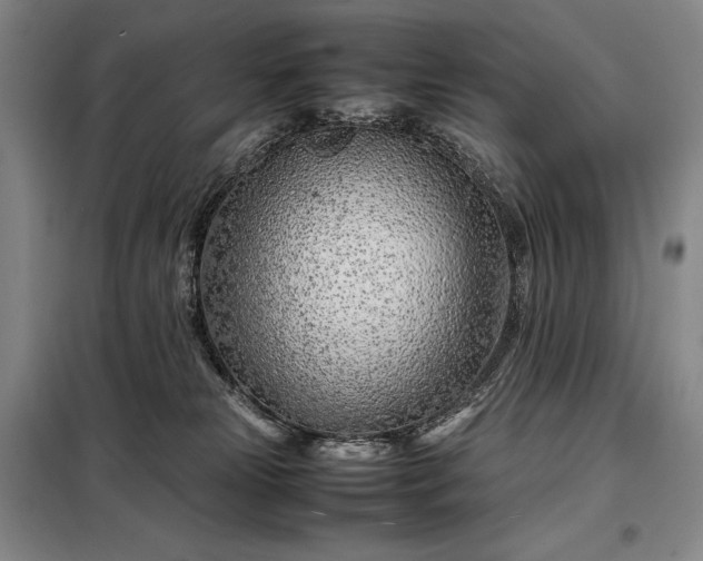 X0000098220181200805011242