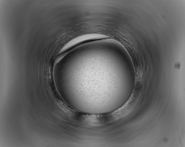 X0000098220182200805011242