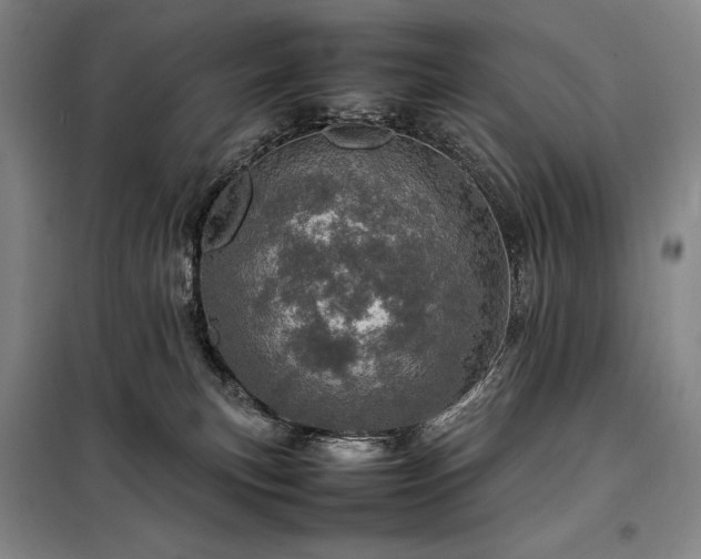 X0000098220183200805011242