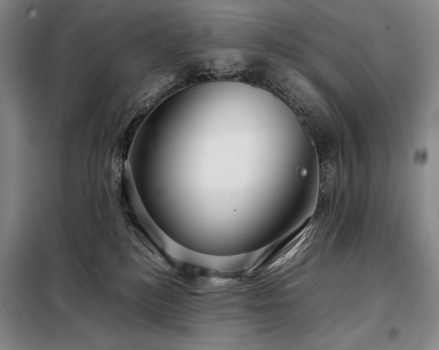 X0000098220184200805011242