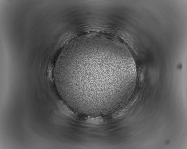 X0000098220185200805011242