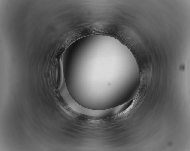 X0000098220186200805011243