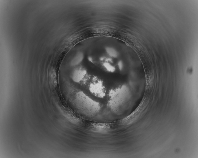 X0000098220187200805011243