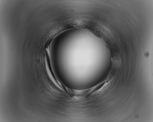 X0000098220188200805011243