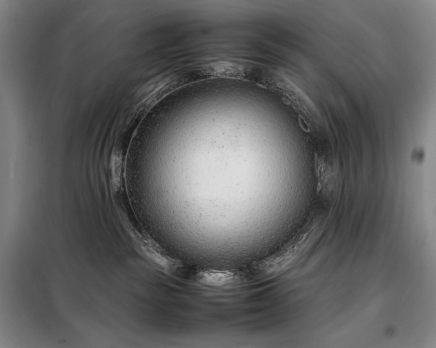 X0000098220189200805011243