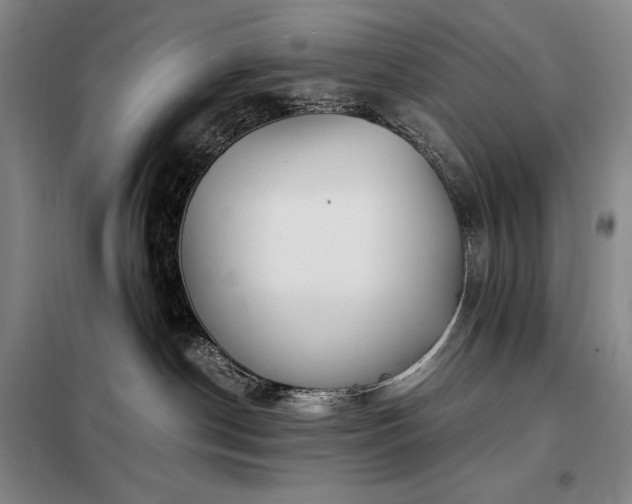 X0000098220190200805011243