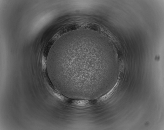 X0000098220191200805011243