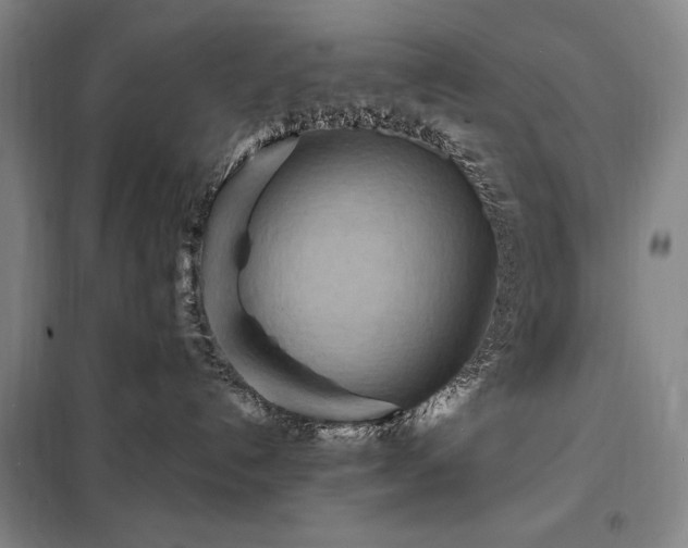 X0000098220192200805011243