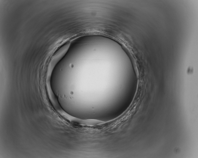 X0000098220193200805011242