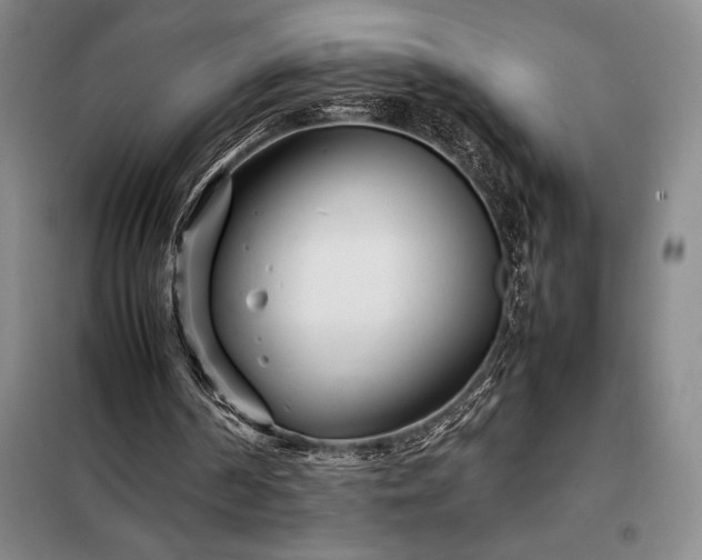 X0000098220194200805011242