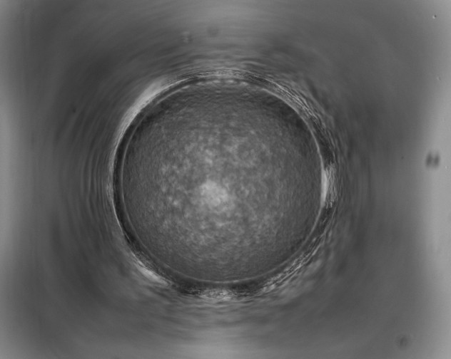 X0000098220195200805011242