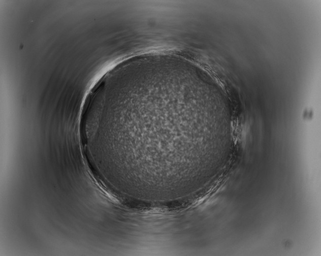 X0000098220196200805011242