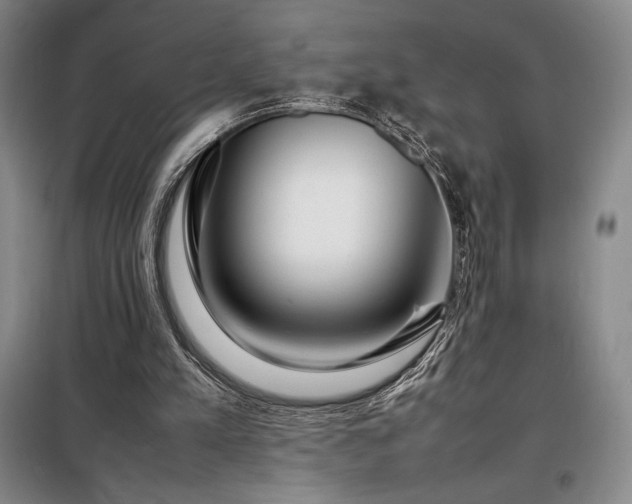 X0000098220197200805011242