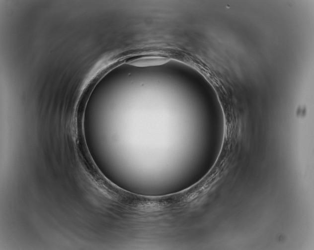 X0000098220198200805011242