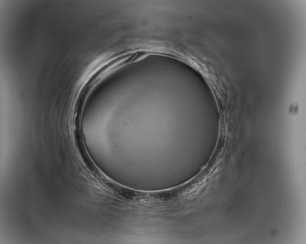 X0000098220199200805011242