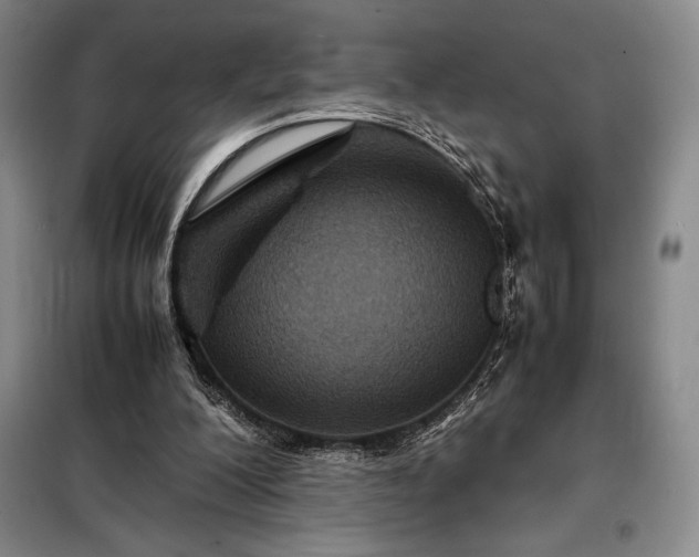 X0000098220200200805011242