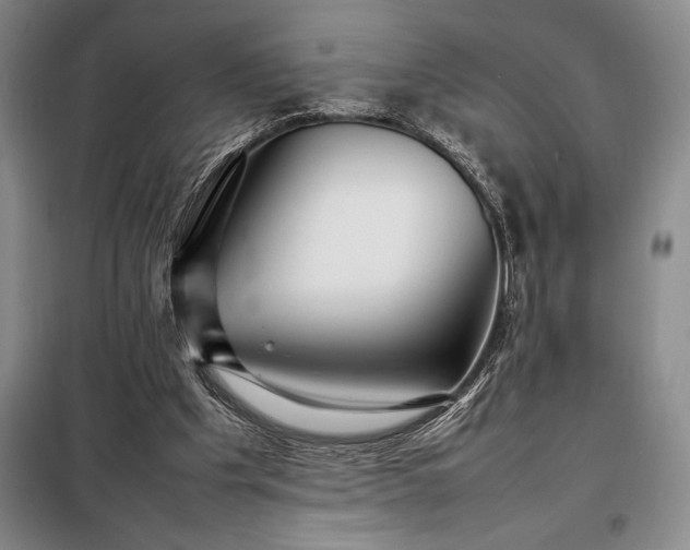 X0000098220201200805011242