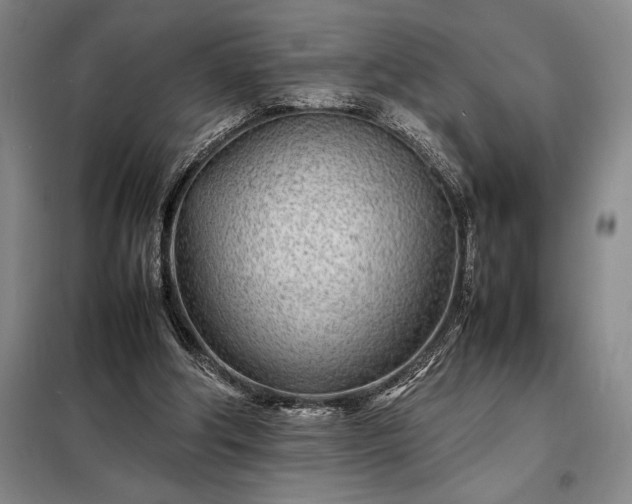 X0000098220202200805011242