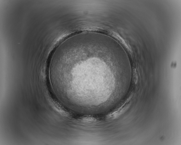 X0000098220203200805011242