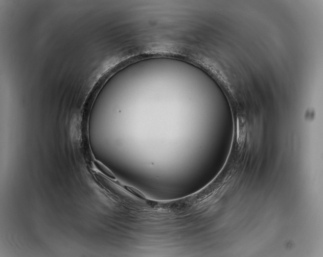 X0000098220204200805011242