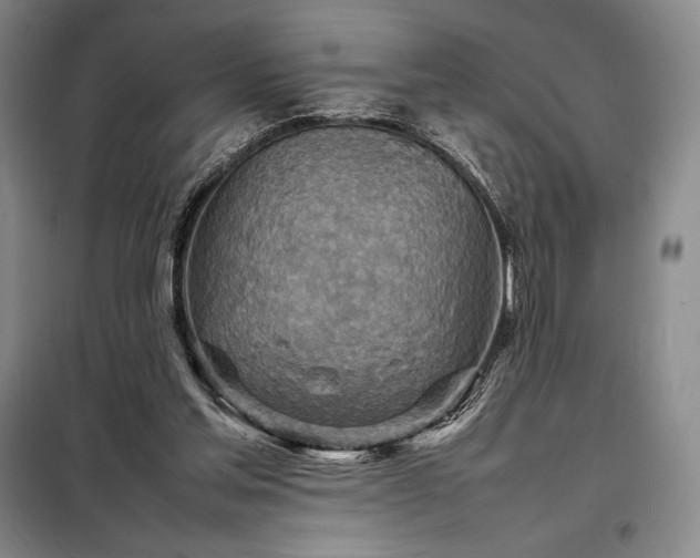 X0000098220205200805011242